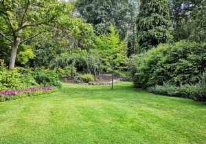 Optimiser l'expérience du jardin à Saint-Aubin-en-Bray